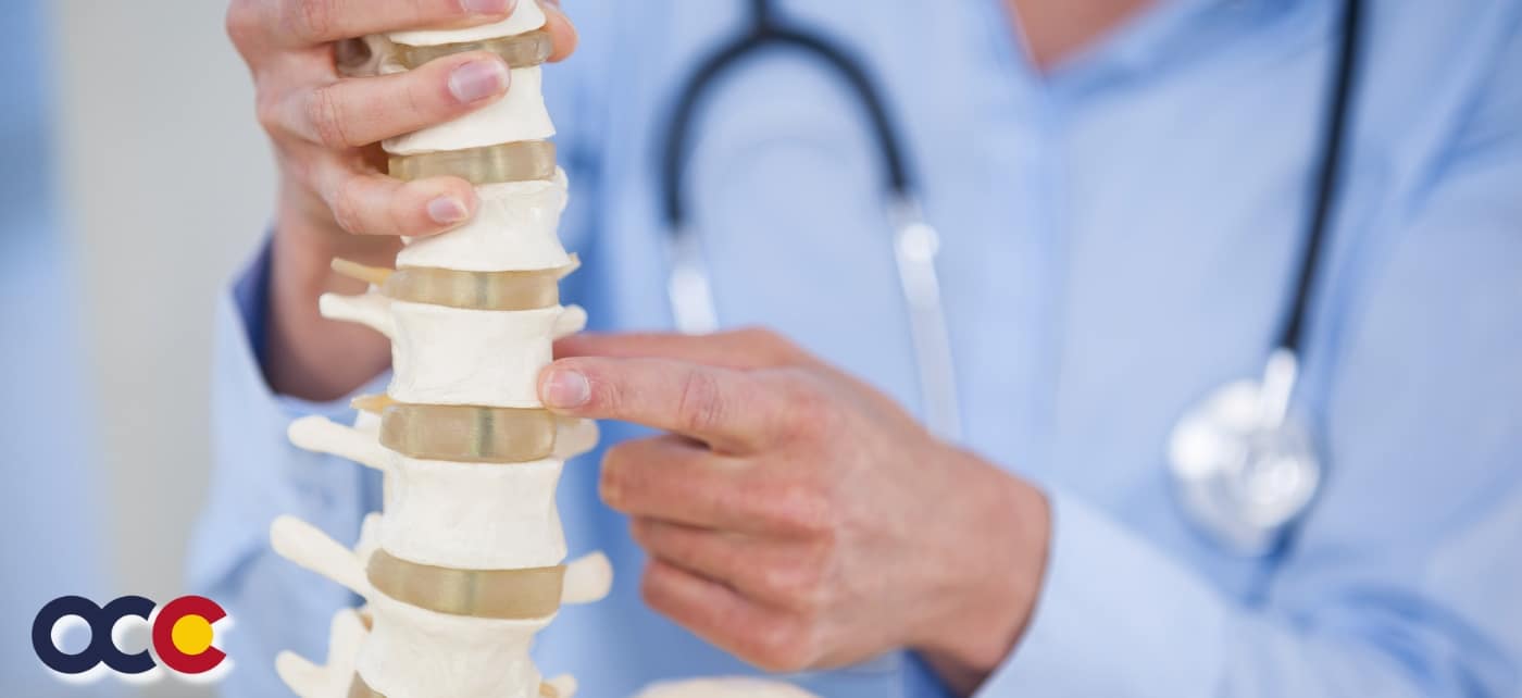 Bone Grafts in Spine Surgery