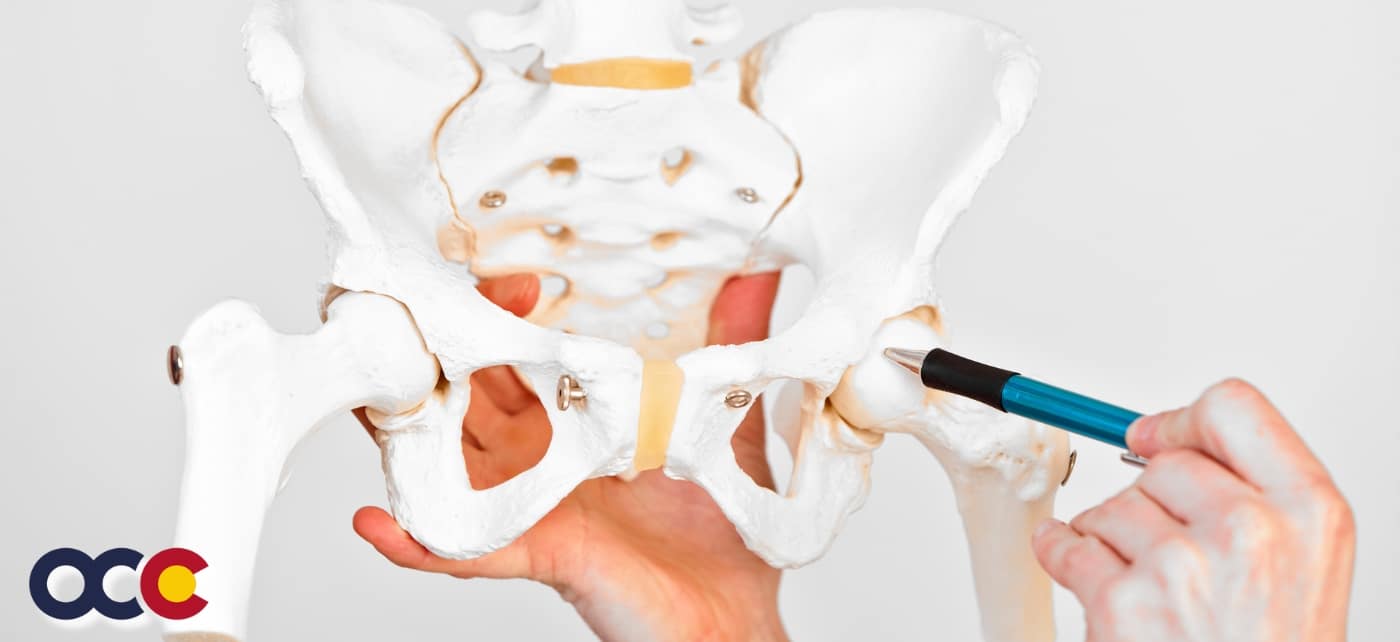 SYNOVITIS OF THE HIP
